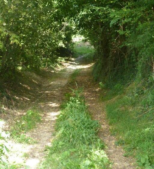 تختخواب و صبحانه La Mela Antica