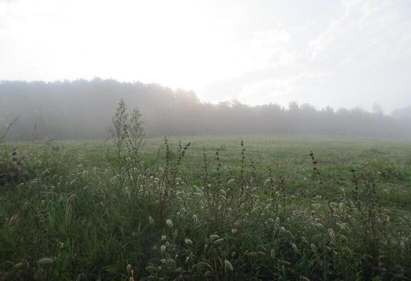 تختخواب و صبحانه La Mela Antica