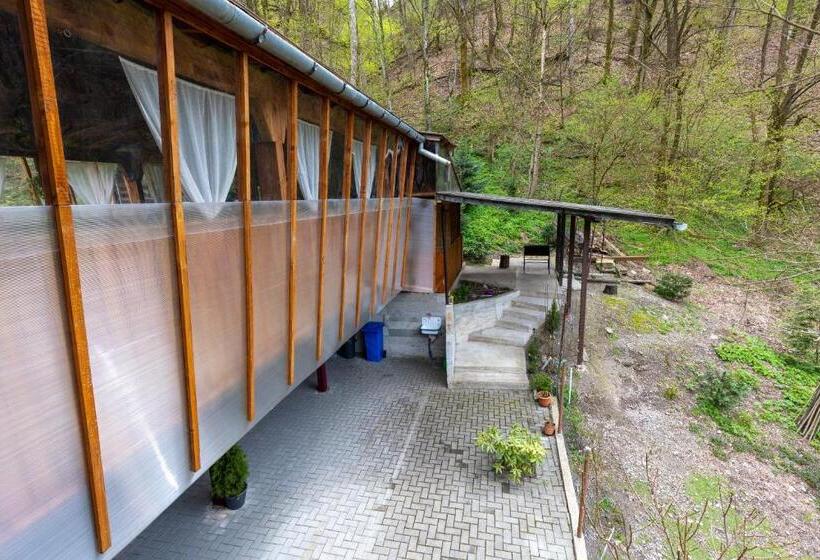 פנסיון Casa Flori De Nuc