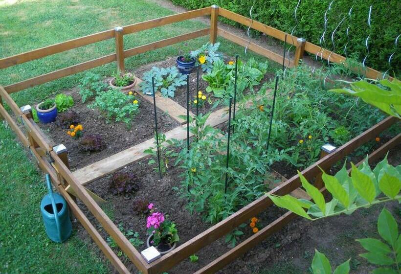 צימר Chambre D Hôtes   Douce Nui The