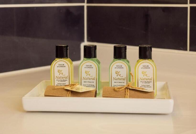 فندق Manoir Thoveke