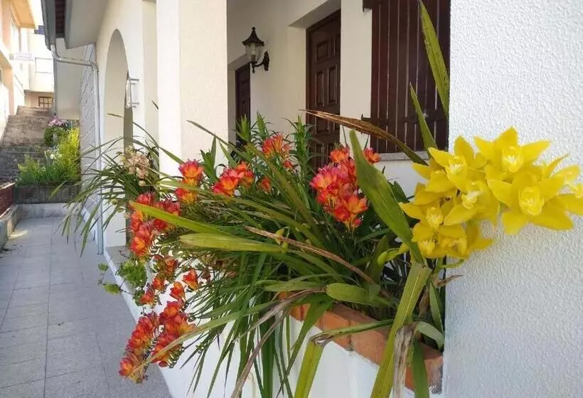 پانسیون Casa Da Piedade, Vouzela