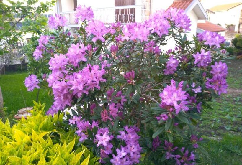 Пансион Casa Da Piedade, Vouzela