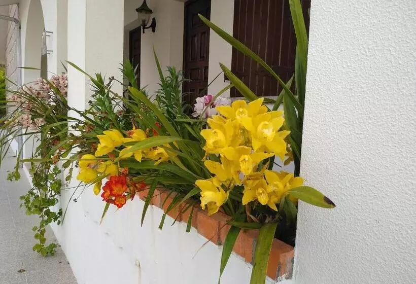 پانسیون Casa Da Piedade, Vouzela