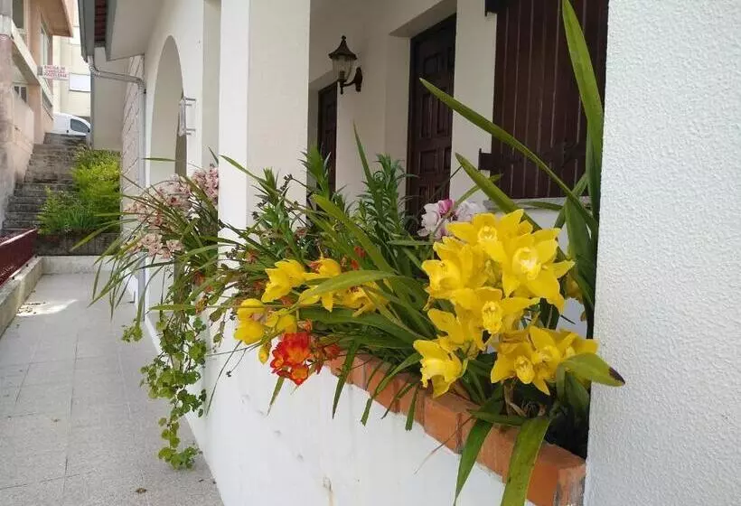 پانسیون Casa Da Piedade, Vouzela