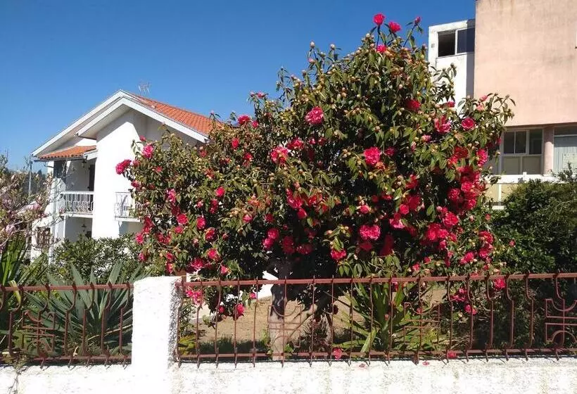 پانسیون Casa Da Piedade, Vouzela