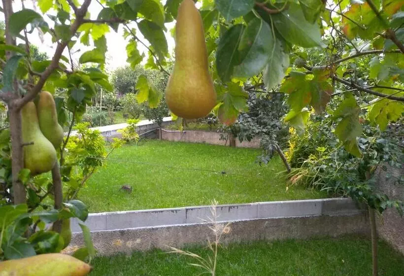 پانسیون Casa Da Piedade, Vouzela