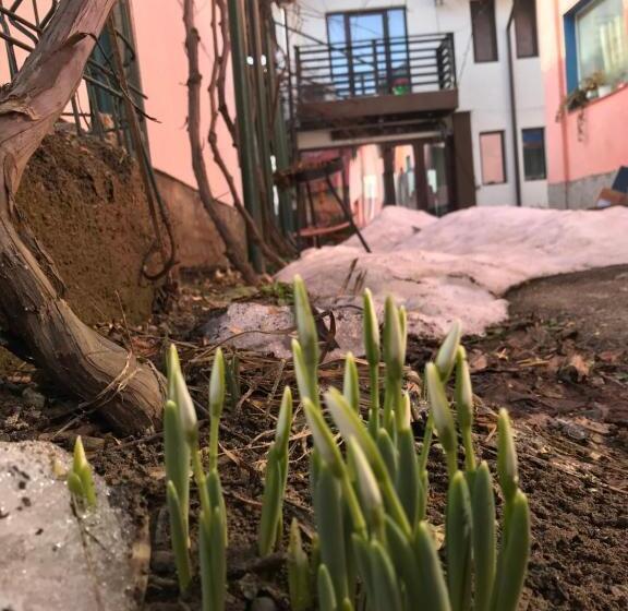 ペンション Upstairs Residence