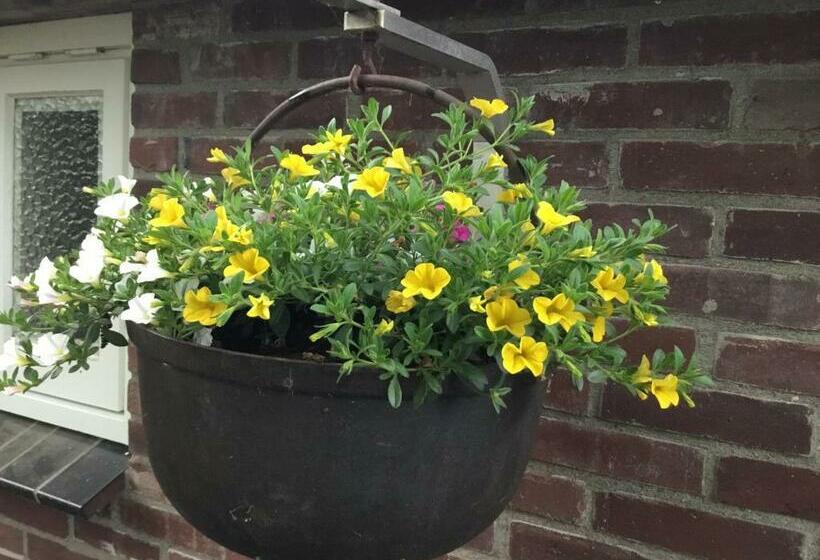 B&b Op  T Eikenschoor