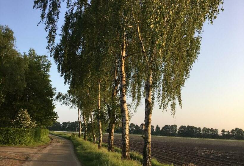 B&b Op  T Eikenschoor