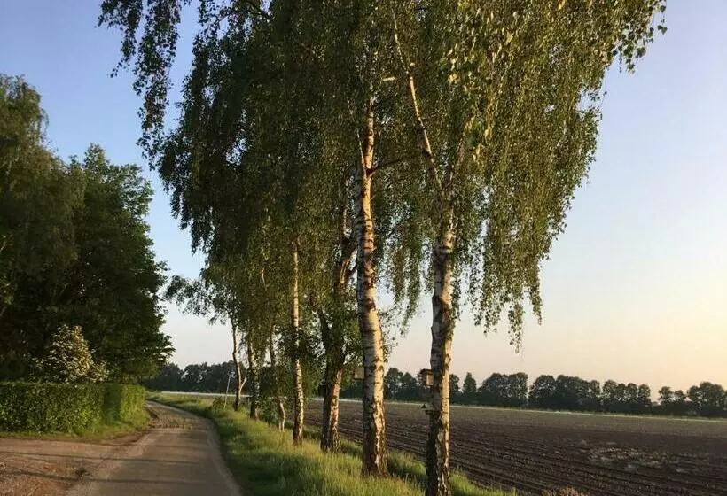 B&b Op  T Eikenschoor