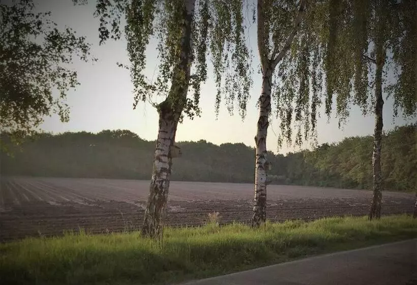 B&b Op  T Eikenschoor