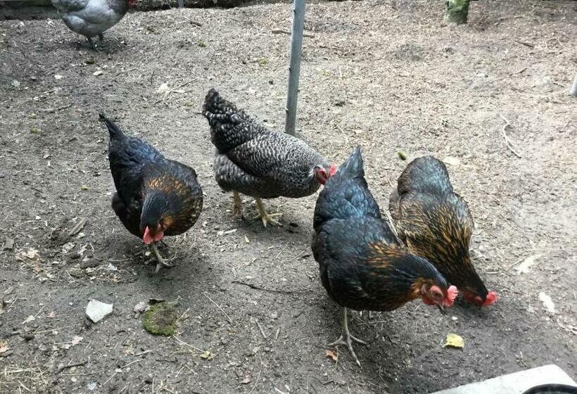 B&b Op  T Eikenschoor