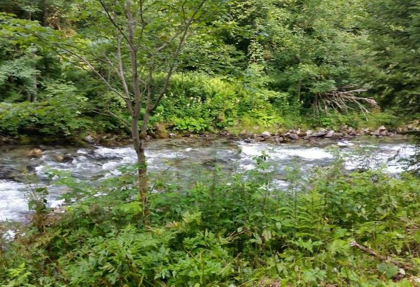 تختخواب و صبحانه Haus Silvia Kraml