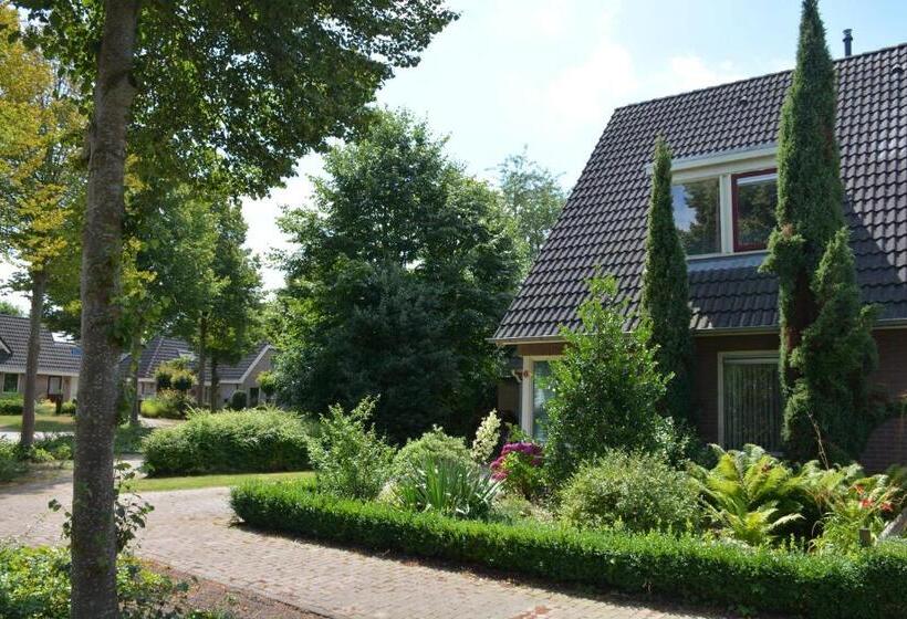 Bed and Breakfast Mango House Homestay