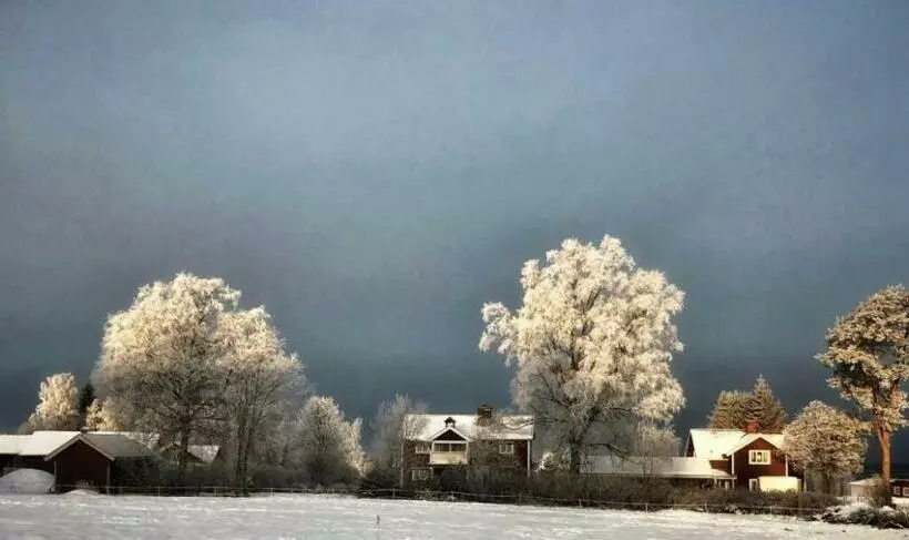 ホテル Det Gamla Panget