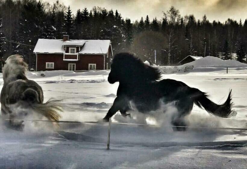 هتل Det Gamla Panget