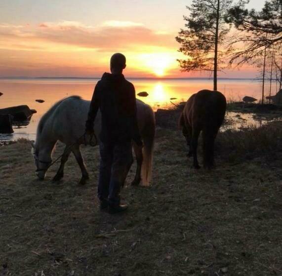 هتل Det Gamla Panget