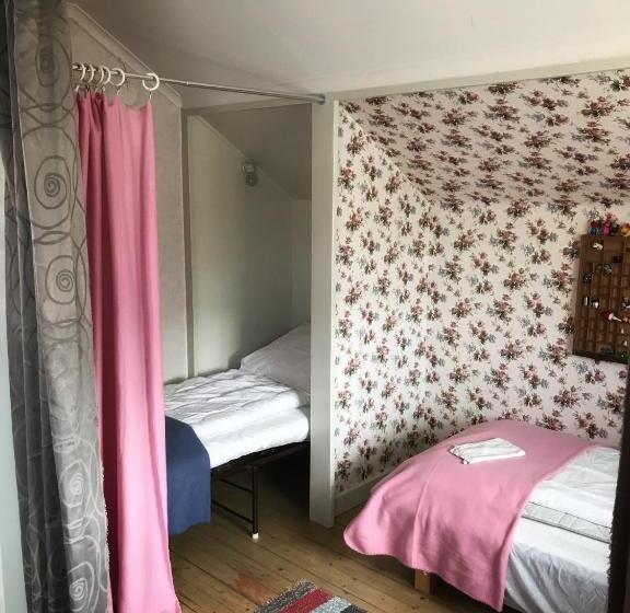 هتل Det Gamla Panget