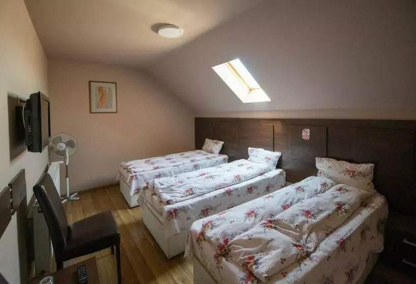 Motelli Pensiunea Cupidon