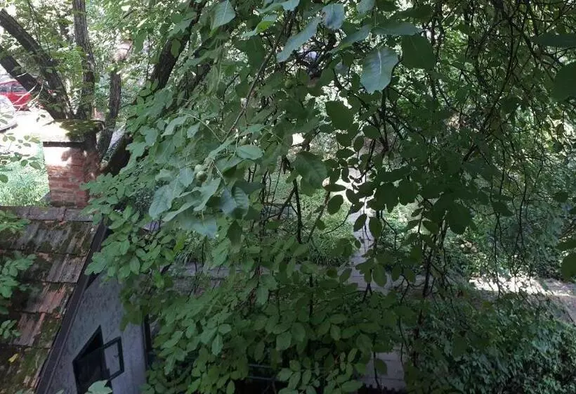پانسیون Tabor   Apartments Rozmanova Street