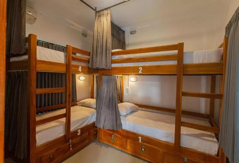 Zentiga Surf Hostel
