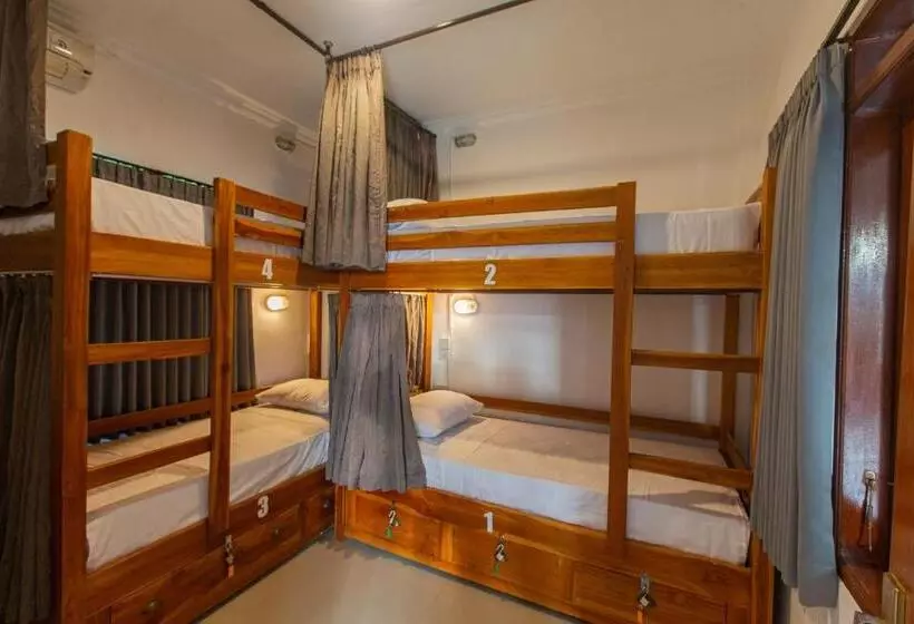 Zentiga Surf Hostel