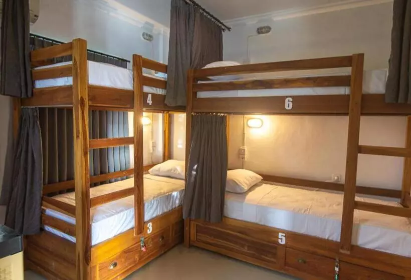 Zentiga Surf Hostel