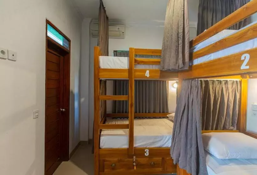 Zentiga Surf Hostel