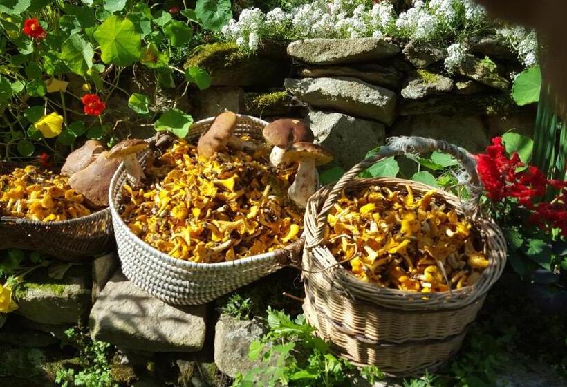 ベッドアンドブレックファースト Chambres D Hôtes De La Ferme Apicole D Espagnac Corrèze