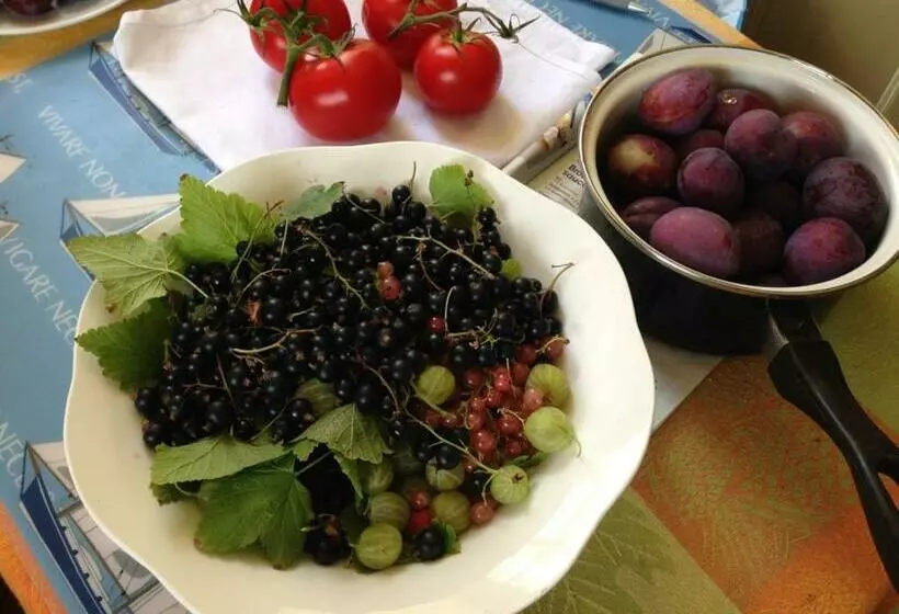 Aamiaismajoitus (B&B) Val D Arguenon