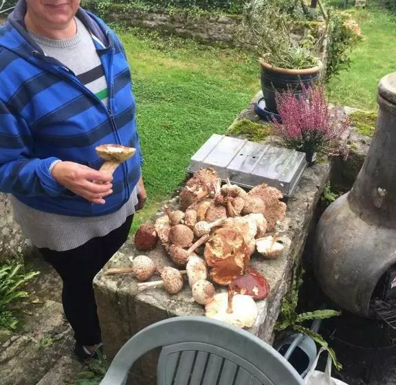 Aamiaismajoitus (B&B) Val D Arguenon