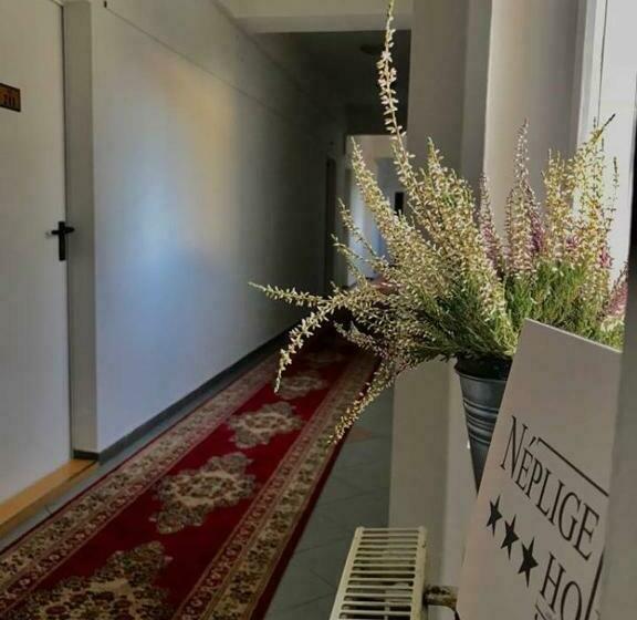 酒店 Népliget