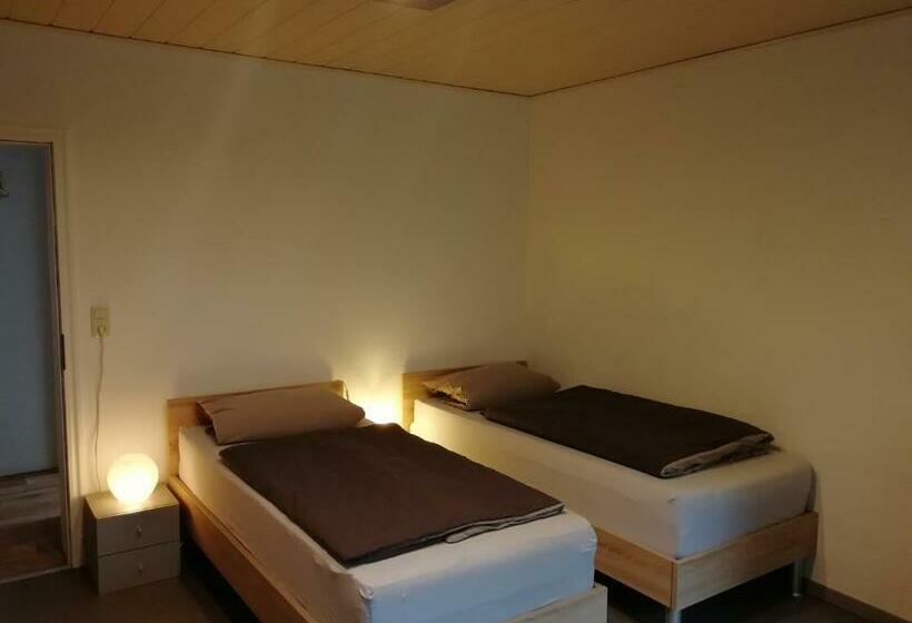 Пансион Apartment Am Park   Erica