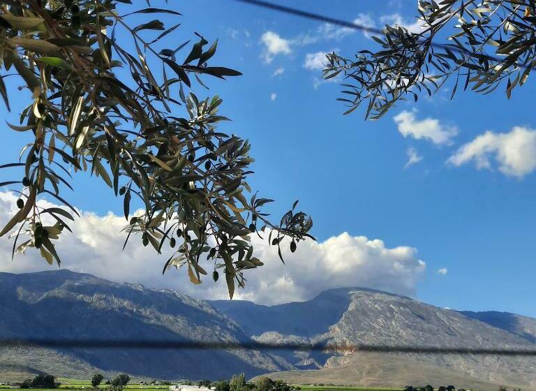 פנסיון Monte Roza Guest House