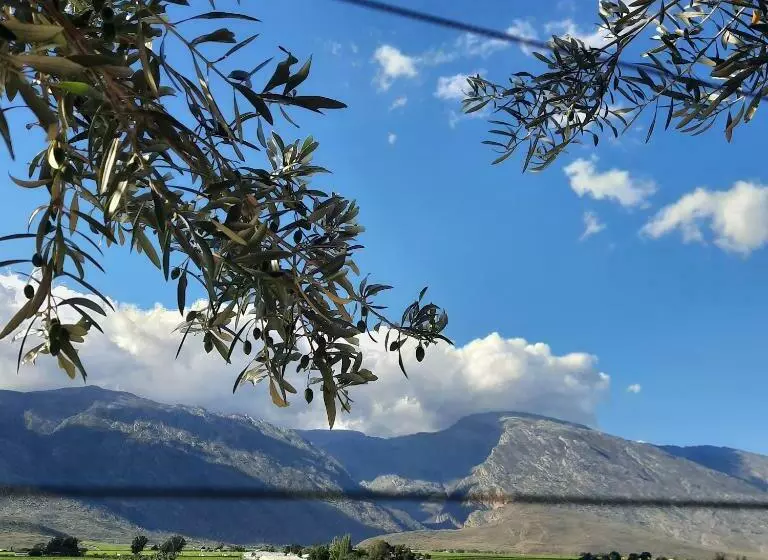 Majatalo Monte Roza Guest House