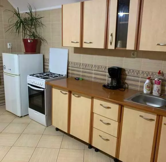 ユースホステル Casa Galbena