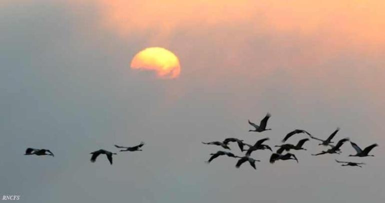 Bed and Breakfast L Airial De Nahouns