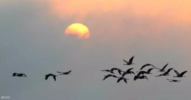 Aamiaismajoitus (B&B) L Airial De Nahouns