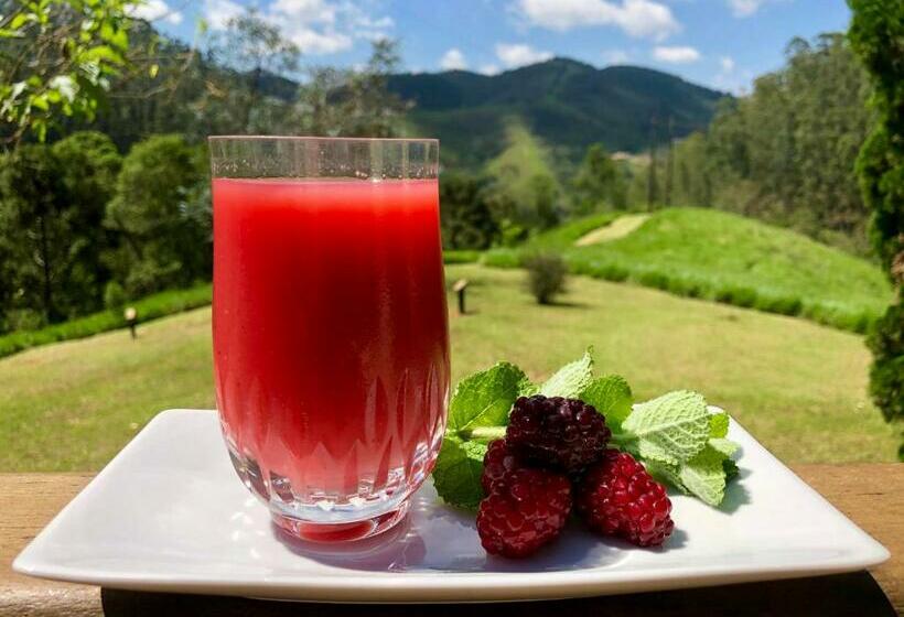 ベッドアンドブレックファースト Pousada Kolibri