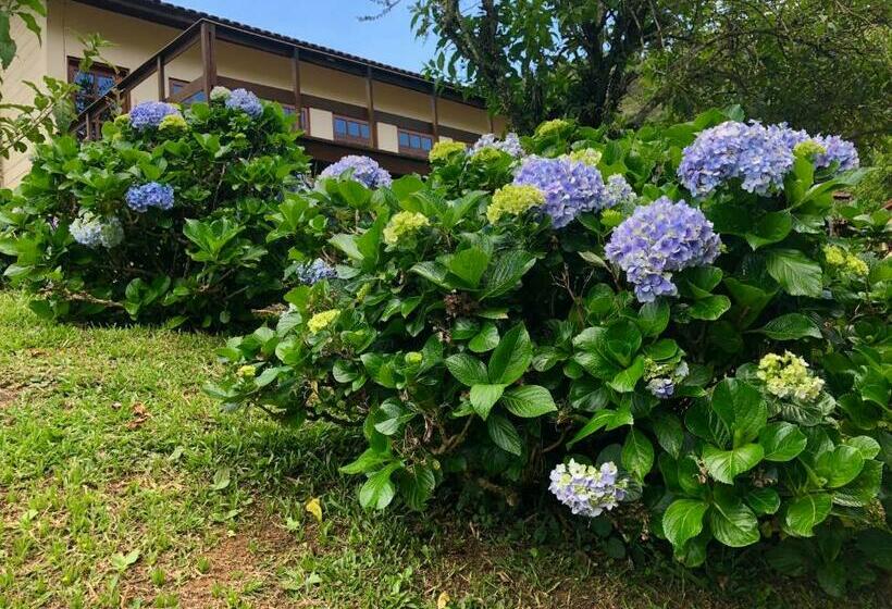 ベッドアンドブレックファースト Pousada Kolibri