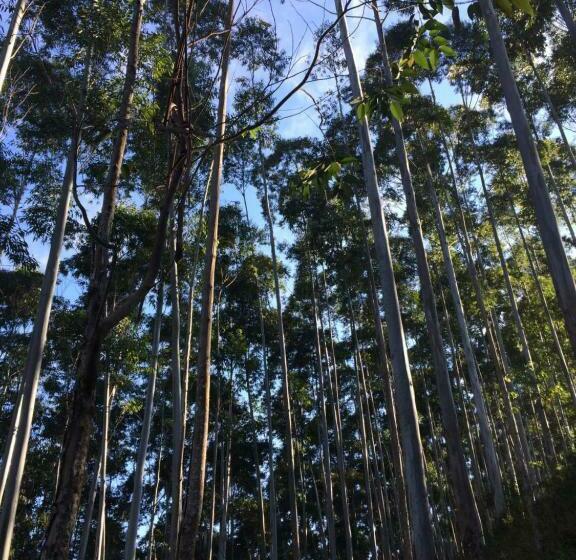 ベッドアンドブレックファースト Pousada Kolibri