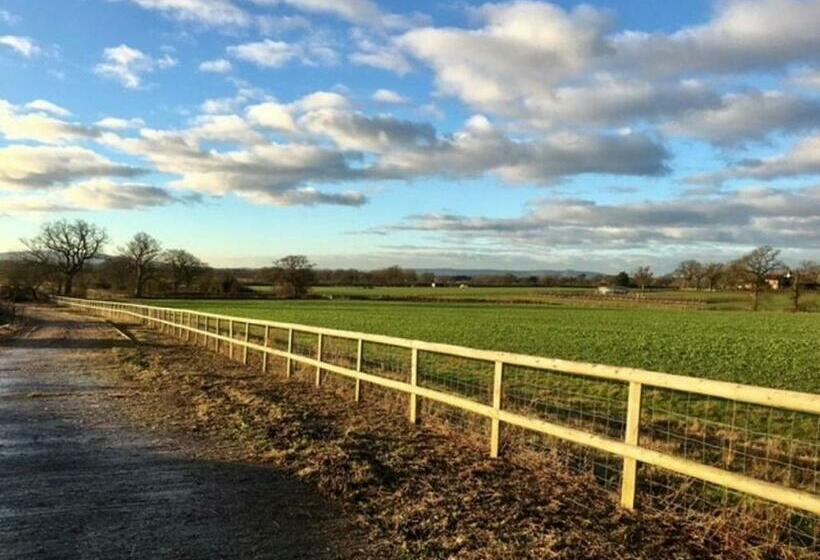 مبيت وإفطار South Cottage · Rural Gem In The Heart Of The Sussex Countryside