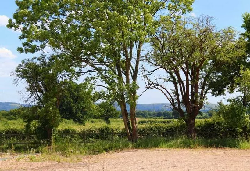 ベッドアンドブレックファースト South Cottage · Rural Gem In The Heart Of The Sussex Countryside