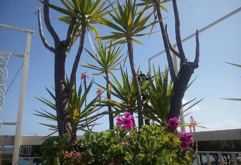 تختخواب و صبحانه Terrazza Incanto