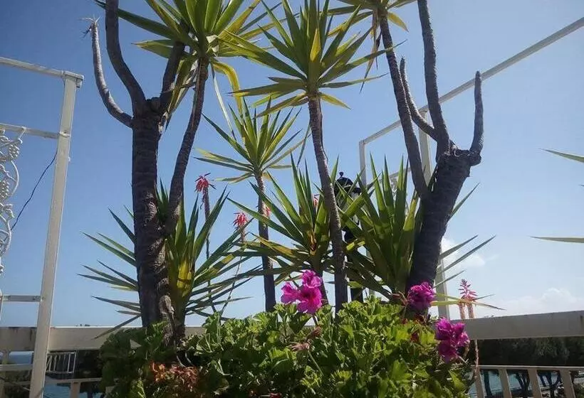 Aamiaismajoitus (B&B) Terrazza Incanto