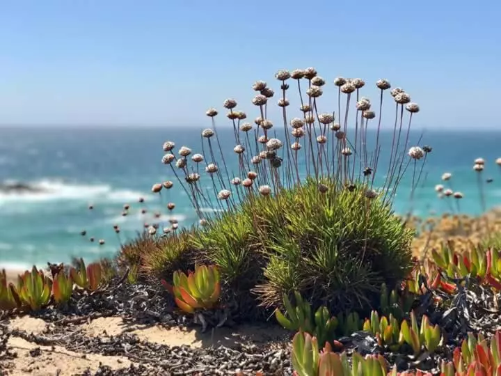 ペンション Casa Sol