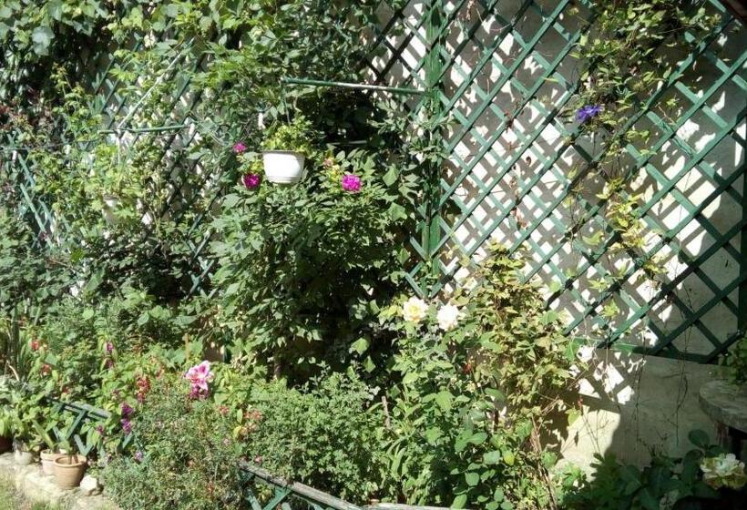 پانسیون Cluj Center 2