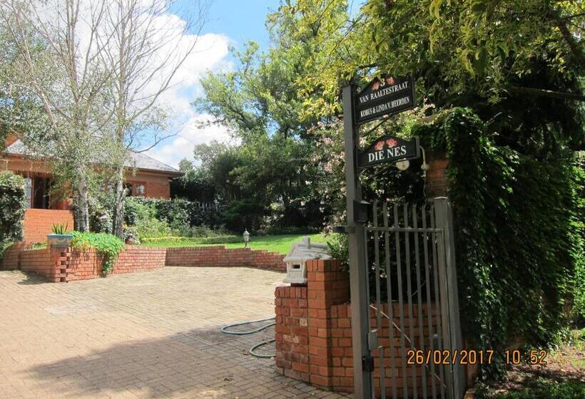 بنسيون The Nest