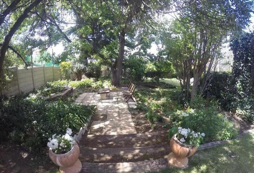 بنسيون The Nest